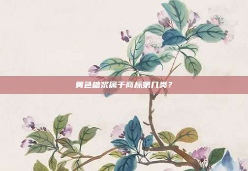 黄色糖浆属于商标第几类？
