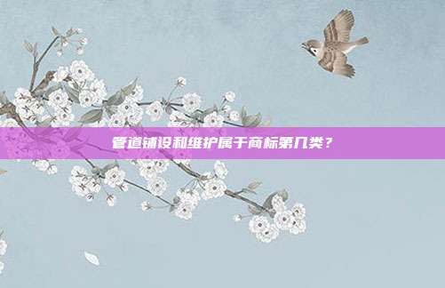 管道铺设和维护属于商标第几类？