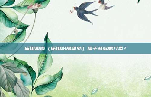 床用垫褥（床用织品除外）属于商标第几类？