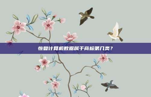 恢复计算机数据属于商标第几类?