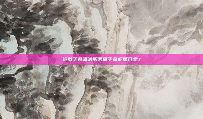 运载工具清洗服务属于商标第几类?
