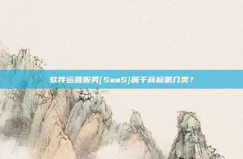 软件运营服务[SaaS]属于商标第几类？
