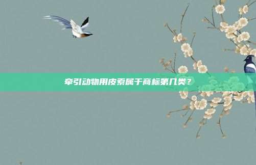 牵引动物用皮索属于商标第几类？