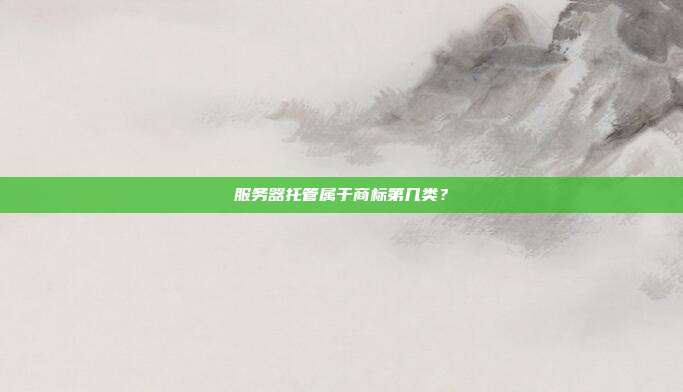 服务器托管属于商标第几类？