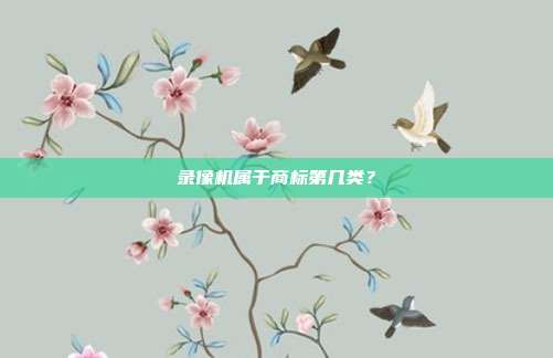 录像机属于商标第几类？