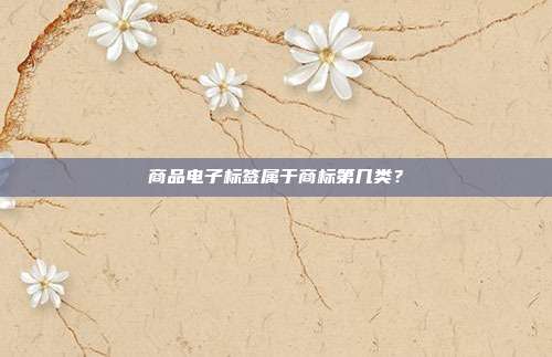 商品电子标签属于商标第几类？