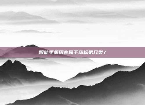 智能手机用套属于商标第几类？