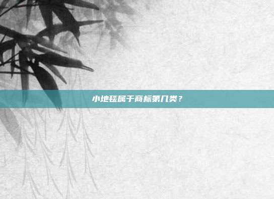 小地毯属于商标第几类？