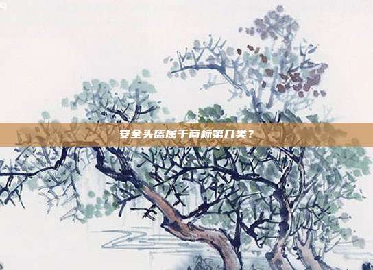 安全头盔属于商标第几类？