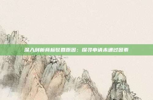 深入剖析商标驳回原因:探寻申请未通过因素
