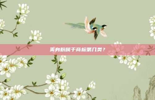 爽身粉属于商标第几类？