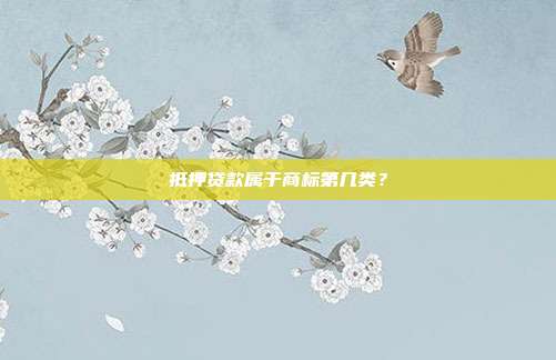 抵押贷款属于商标第几类？