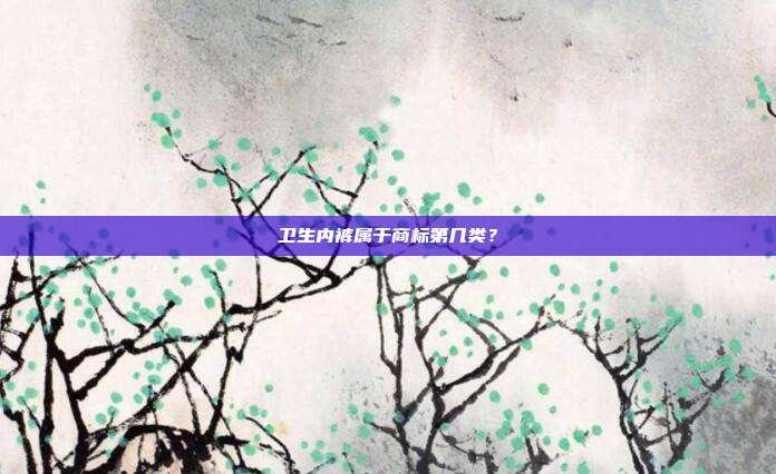 卫生内裤属于商标第几类?