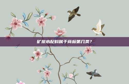 矿泉水配料属于商标第几类?
