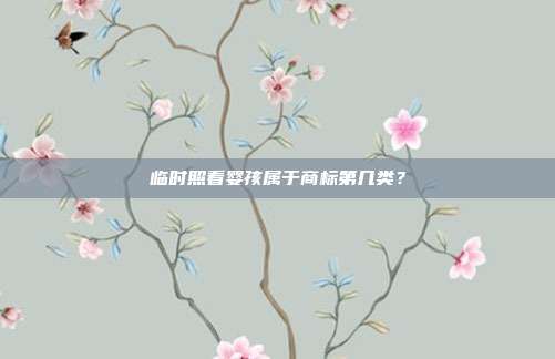 临时照看婴孩属于商标第几类?