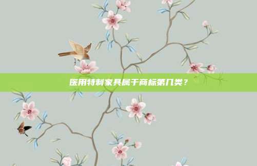 医用特制家具属于商标第几类?