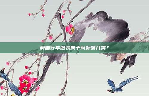 骑自行车服装属于商标第几类?