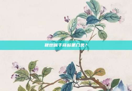 鞭炮属于商标第几类？