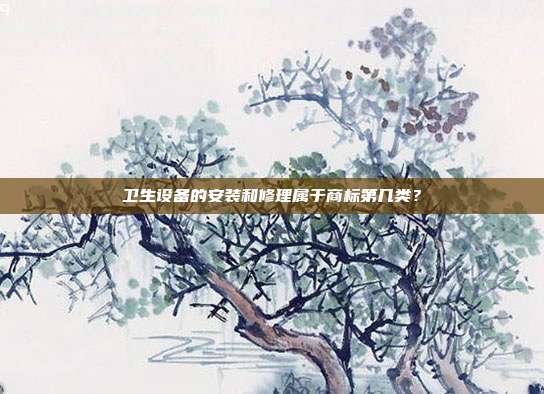 卫生设备的安装和修理属于商标第几类？