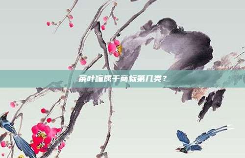 茶叶罐属于商标第几类?