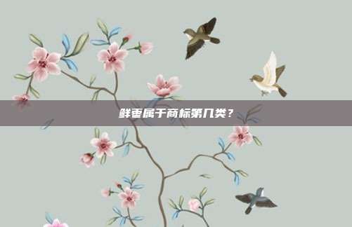 鲜枣属于商标第几类?