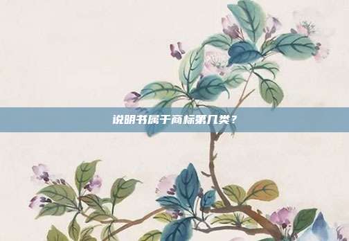 说明书属于商标第几类?