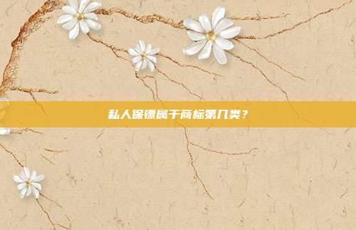 私人保镖属于商标第几类？