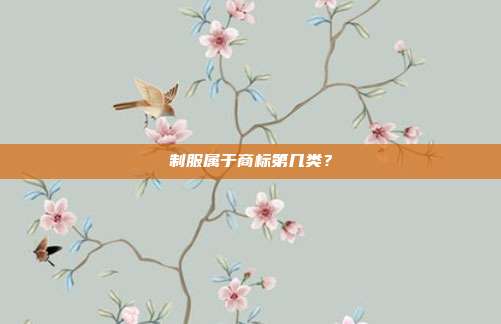 制服属于商标第几类？