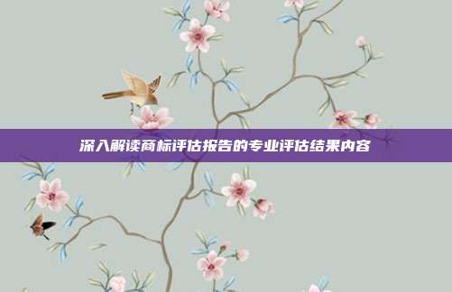 深入解读商标评估报告的专业评估结果内容