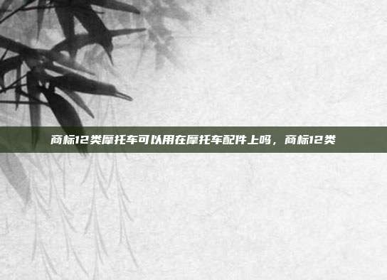 商标12类摩托车可以用在摩托车配件上吗,商标12类