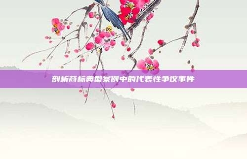 剖析商标典型案例中的代表性争议事件