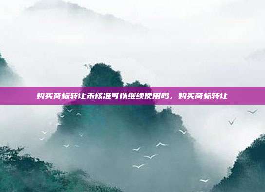 购买商标转让未核准可以继续使用吗,购买商标转让