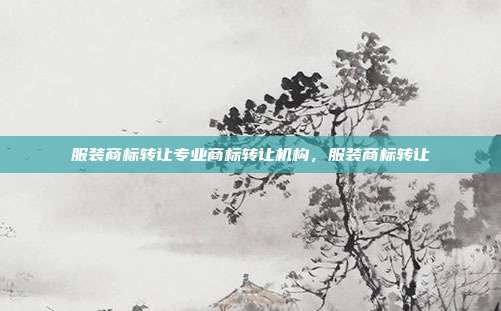 服装商标转让专业商标转让机构，服装商标转让
