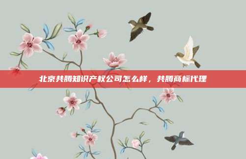 北京共腾知识产权公司怎么样，共腾商标代理