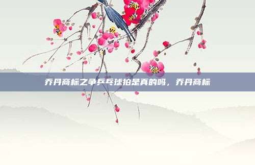 乔丹商标之争乒乓球拍是真的吗,乔丹商标