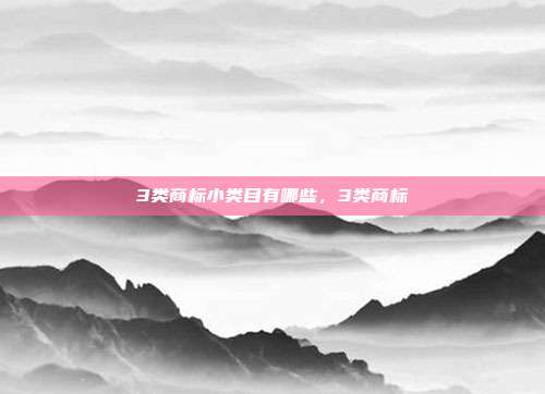 3类商标小类目有哪些,3类商标