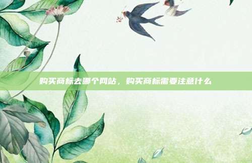 购买商标去哪个网站,购买商标需要注意什么