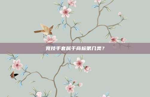竞技手套属于商标第几类?