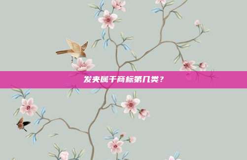 发夹属于商标第几类？