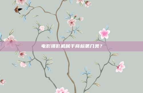 电影摄影机属于商标第几类？