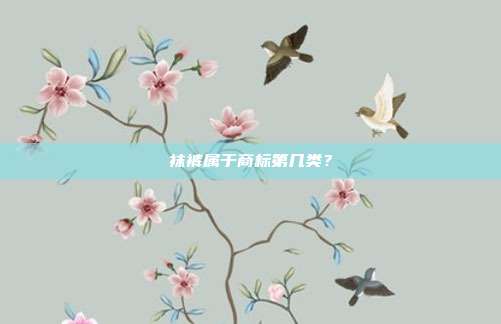 袜裤属于商标第几类?