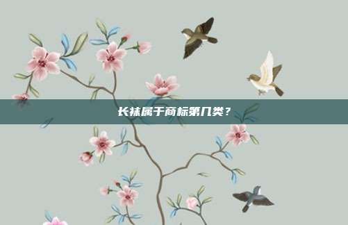 长袜属于商标第几类?