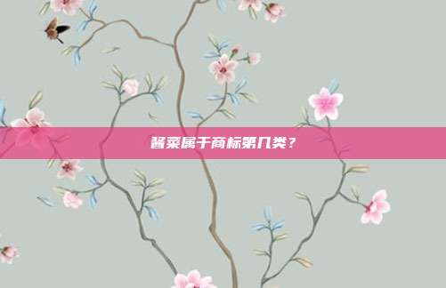 酱菜属于商标第几类？