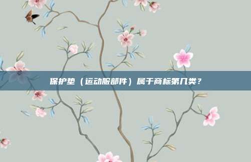 保护垫（运动服部件）属于商标第几类？