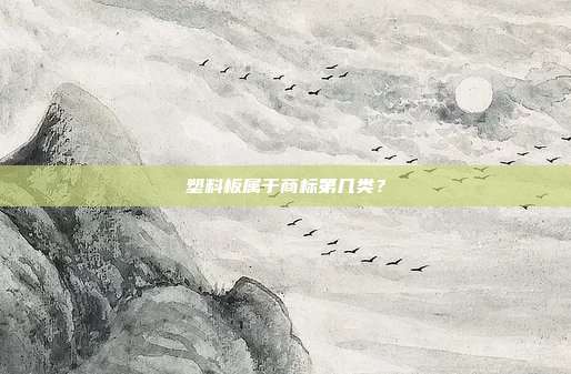 塑料板属于商标第几类？
