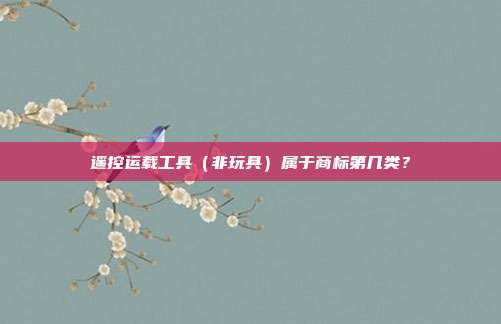 遥控运载工具(非玩具)属于商标第几类?