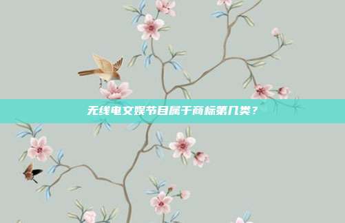 无线电文娱节目属于商标第几类?