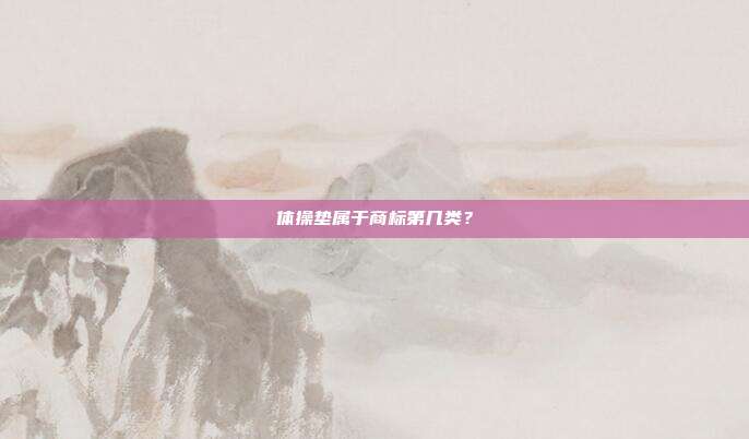 体操垫属于商标第几类?