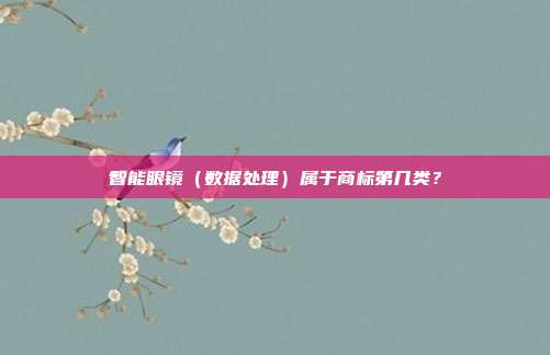 智能眼镜（数据处理）属于商标第几类？