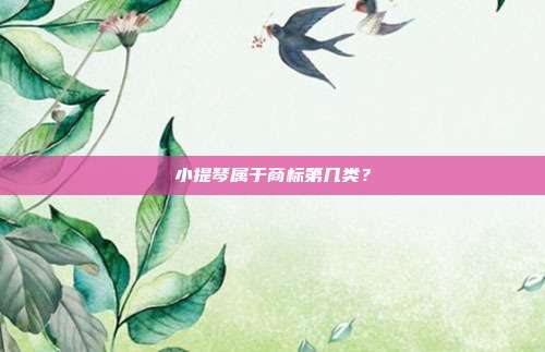 小提琴属于商标第几类？